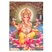 Indian Postcard